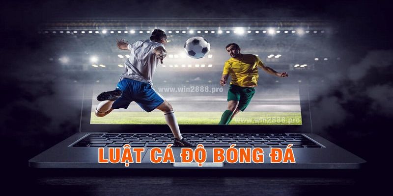 Tổng quan luật cá độ bóng đá tài xỉu