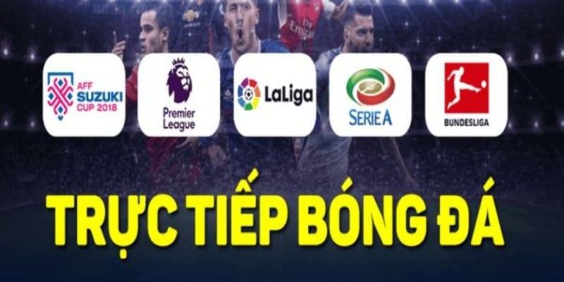 Tìm hiểu trực tiếp bóng đá socolive